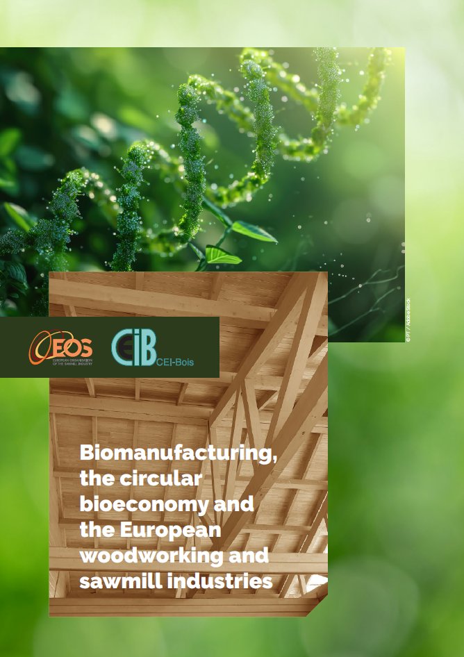 🤔 Want to know more about biomanufacturing and the bioeconomy?
 
 Wood has been at the 💚 of the #EUBioeconomy for centuries!
 
 📖  We’ve just released a new publication that tells you all you need to  know: lnkd.in/d3VUtVa9