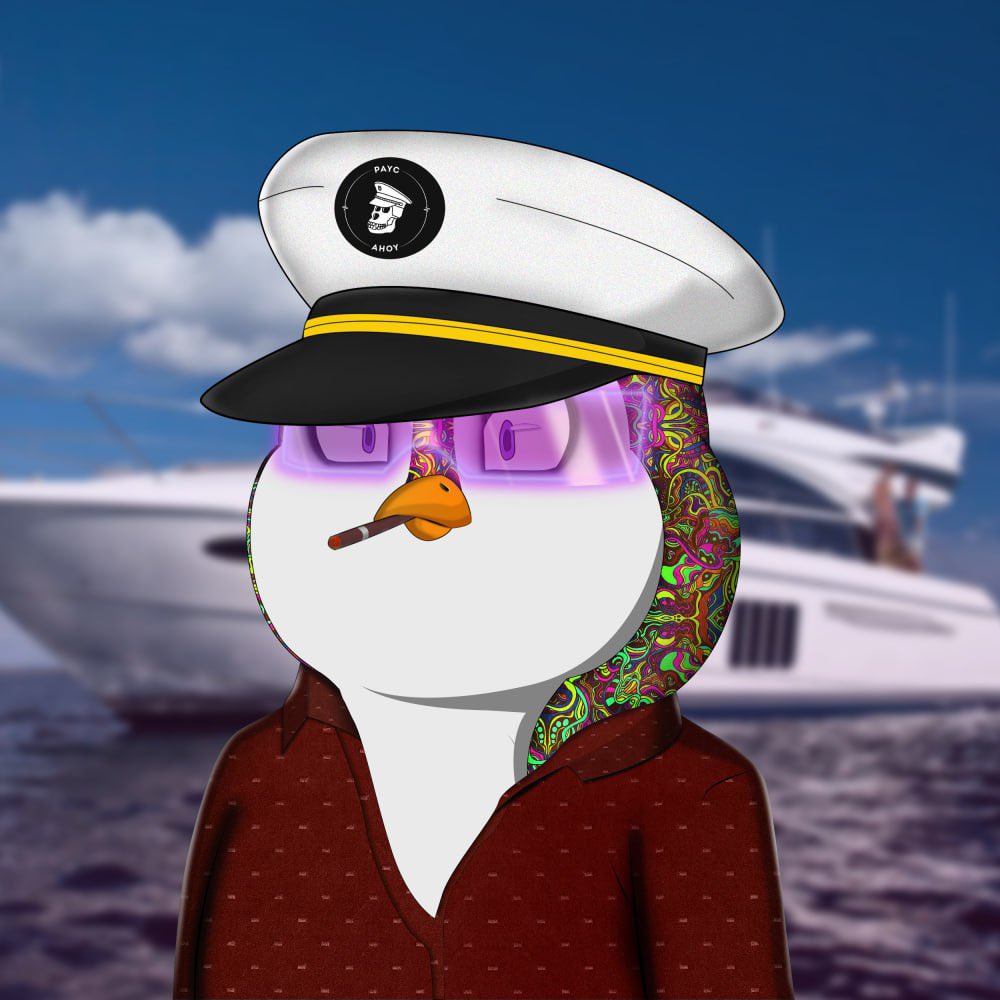 📢Attention this your Captain speaking📢

$AHOY penguins are set to Mint Today 13th March 2024 (21:00UTC)🛥🐧❄️

✅333 total NFTs

✅Mint Price: 150k $pls

✅10 PAYC OR MORE get 50% off mint (75k $pls)

✅OG Ice Labs pass Holder Will be airdropped per Pass!!! 
(get your OG pass: