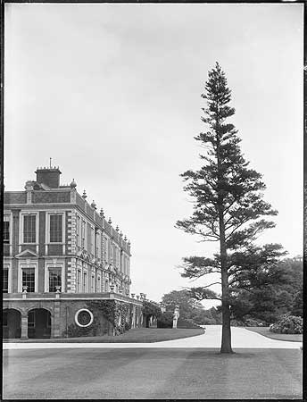 CroxtethHall's tweet photo. Did you know? Giant Redwoods are making a remarkable mark in the UK, with their population now surpassing those in California!

A Redwood tree  once stood in a prominent position outside Croxteth Hall, purchased in 1897, picture taken in 1911 📸

#GiantRedwoods #Croxtethhall https://t.co/z1pl9NV7cT