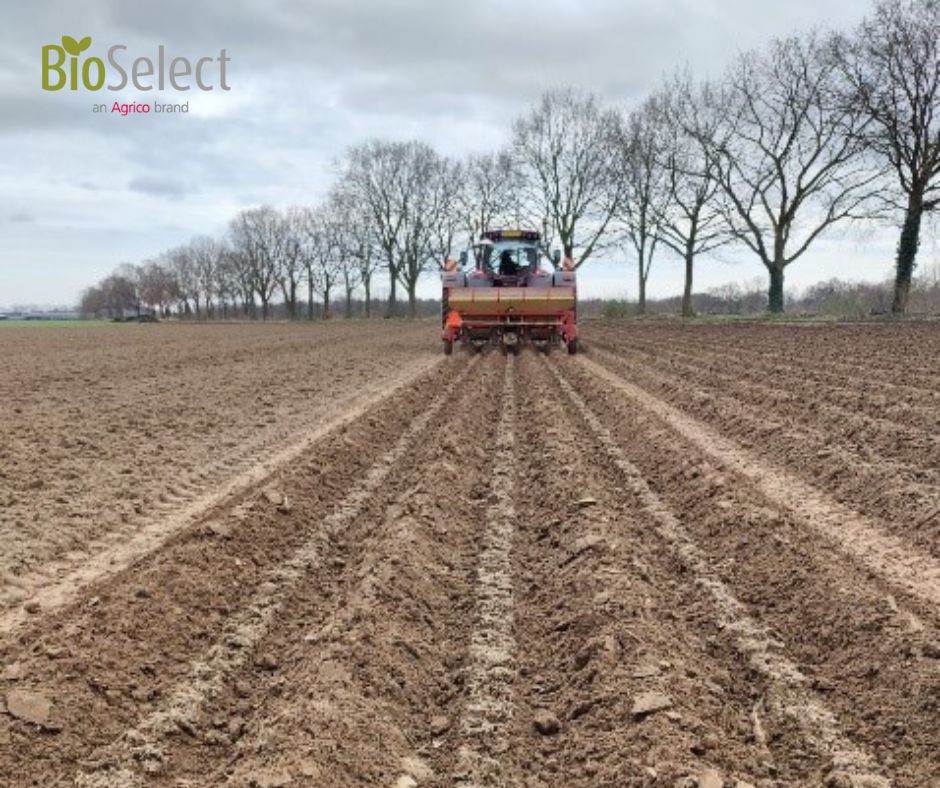 sayagrico's tweet photo. Op het land van Maatschap Corsten-Beukers in Kelpen-Oler(Limburg) zijn de eerste biologische consumptie aardappelen onder folie gepoot. Deze aardappelen zijn eerst voorgekiemd in tunnelkassen en gepoot onder mooie omstandigheden.
#Agrico #BioSelect #Alouette #Carolus #Twister https://t.co/dGQqqBkvs5