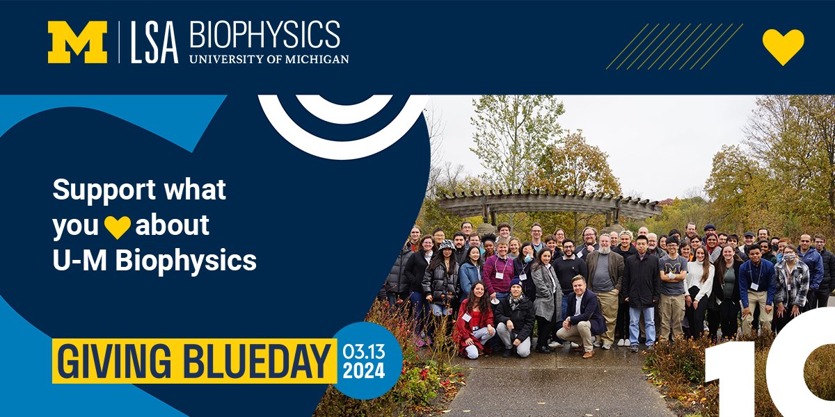 Today is #GivingBlueDay! 💙💛 A gift to #MichiganBiophysics enables us to continue the tradition of research and learning, develop innovative programs, and pursue new initiatives. @umichlsa #biophysics Give today and help us continue this tradition! 👇 myumi.ch/wyAE4