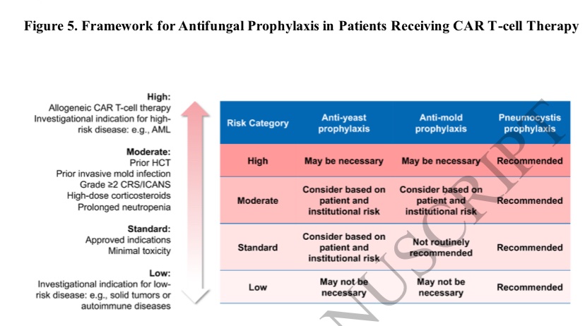 The Burden of Invasive Fungal Disease Following CAR T-cell Therapy and Strategies for Prevention @JessicaLittleMD @ErikaKampouri @dfrieds89 @TMcCarty2010 @GRThompsonMD Kontoyiannis @jobadd @Dr_joeID & Sarah Hammond academic.oup.com/ofid/advance-a…