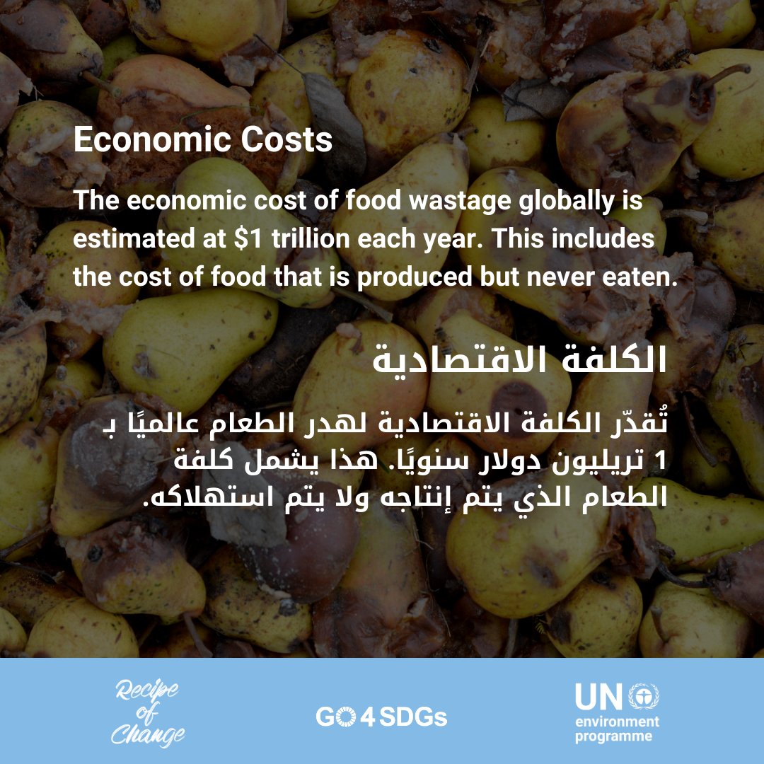UNEP_WestAsia's tweet photo. Small actions like planning meals, storing food properly, and respecting leftovers can make a big difference. Share how you're reducing food waste this Ramadan with #RecipeOfChange and let's inspire a wave of change together! https://t.co/El3wDM6Ae9