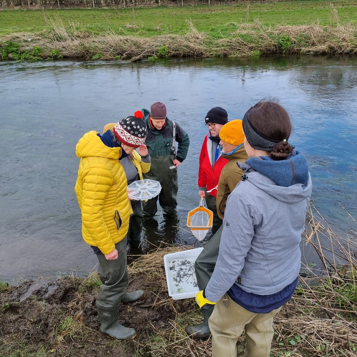 We had a fantastic riverfly training course at the weekend, finding lots of #invertebrates in the river Bela, #Cumbria. All part of the @Riverflies programme :) #learning #rivers #volunteering