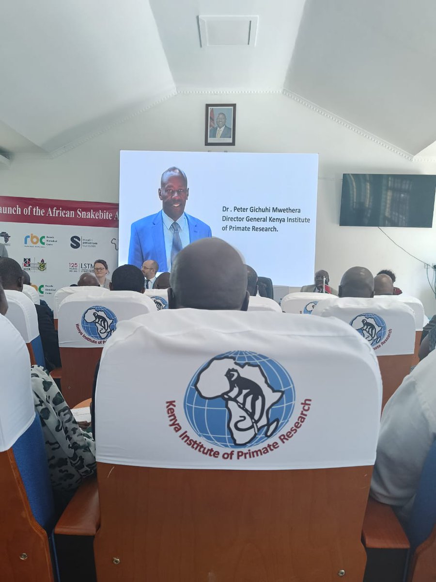 .@HAImedicines is being represented by the Kenya Snakebite project Coordinator at the launch of the African Snakebite Alliance taking place today during SB stakeholders meeting attended by the PS, Public Health, Deputy DG Health and WHO Kenya representative Dr Onsongo #SBAlliance