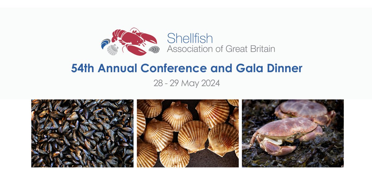 Conference bookings are officially OPEN for the Shellfish Association of Great Britain's 54th Annual Conference! 🐚 Don't miss out on this amazing opportunity to connect with industry leaders and experts. Secure your spot now: ticketpass.org/event/EVUJOI/s… #SAGB54
