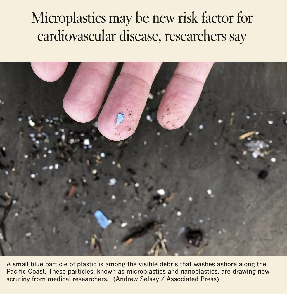 David Zipper tweet media