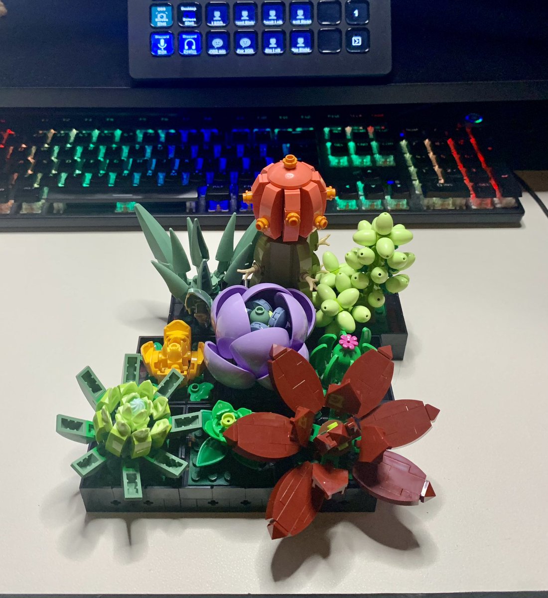 My first time building LEGOs and I might’ve been a little extra 🫣 Styled by: <a href="/hamptersanpai/">hampter🏳️‍🌈</a>