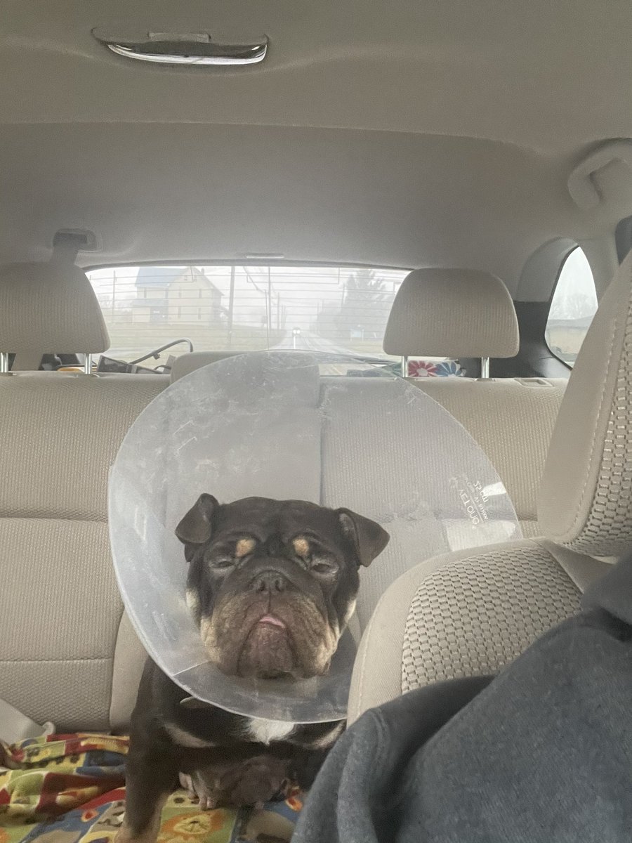 Jesse Harding tweet media