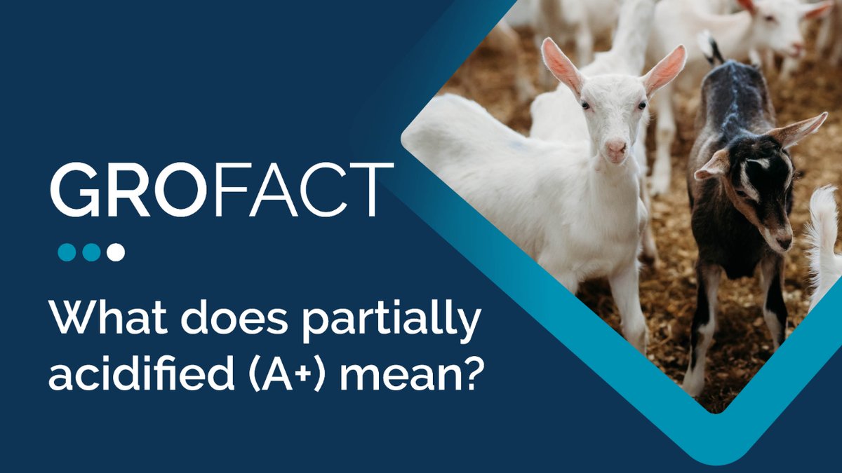 What does partially acidified mean? Our formulas with an 'A+' are partially acidified which means organic acids have been added during manufacturing to lower the pH level of the milk. Learn more about partially acidified milk replacer in our #GroFact grobernutrition.com/grofacts/what-…