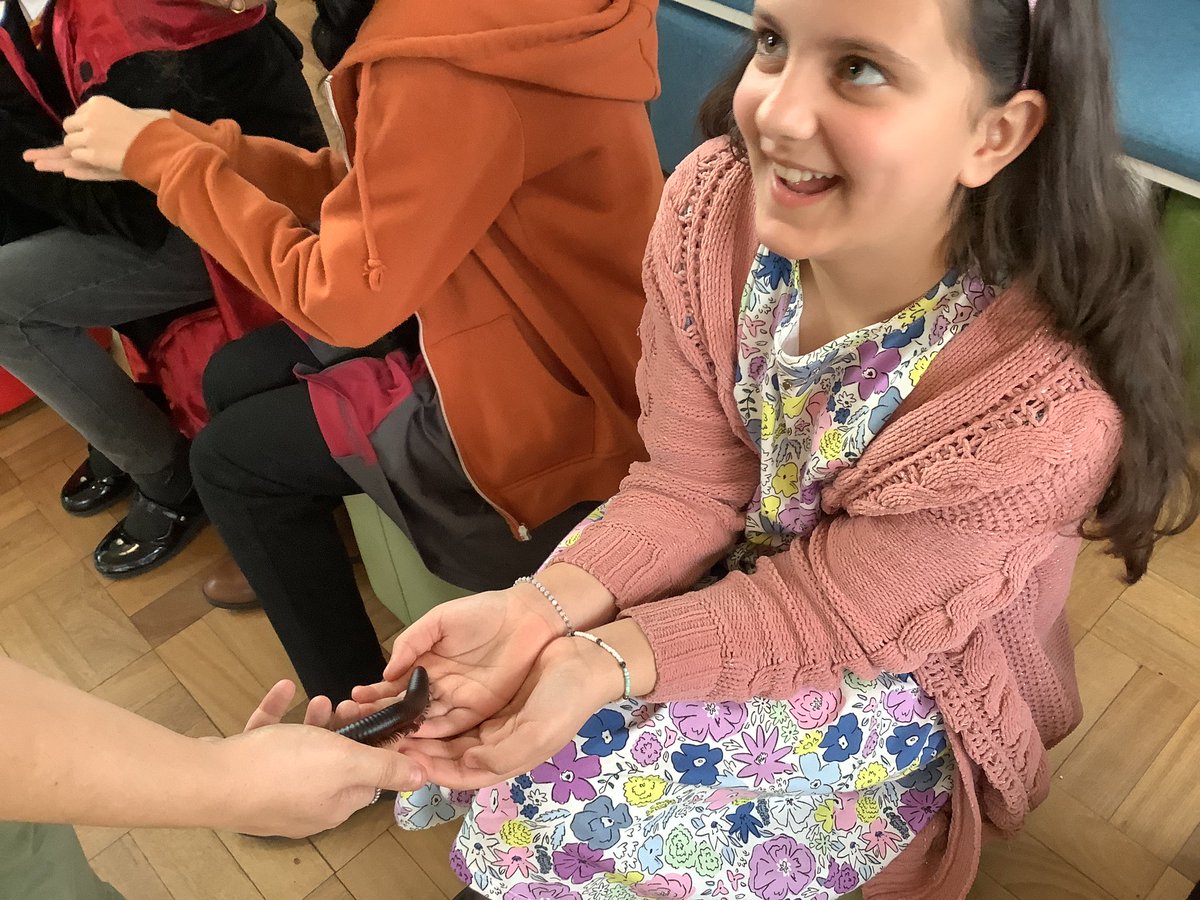 🦎A huge thanks @ZooLabUK for an unforgettable experience!🐢Our year 6 pupils were blown away by the chance to meet your amazing creatures. From snakes to snails, they couldn't stop talking about it! A huge thank you for educating and inspiring the next generation.🐍🐌 #Wildlife