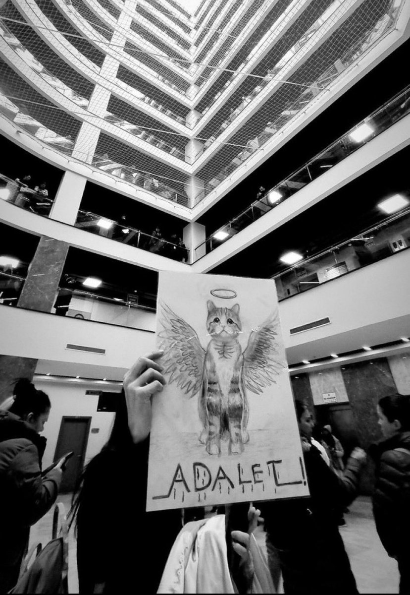 esvedmai's tweet photo. Bugün bu ülkede bir yavru kedinin tekmelenerek öldürülmesi iyi hal kararı ile cezasız kaldı.

 #Erosicinadalet
#ibrahimkeloglanTUTUKLANSIN
#SokakHayvanlarıDahipsizDeğil https://t.co/ktQjSeLNHO