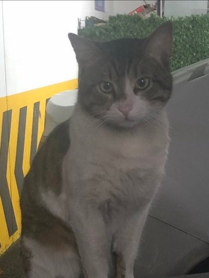 Eros’un artık tek katili İbrahim Keloğlan değildir. Onu tutuklamayan hakim de Erosu koruyamayan adalette katildir. Bu gözlere iyi bakın. Her an Erosun acısının daha beterini çekin diye dualar edicem. Ahı sizinle olsun. 
#erosiçinadalet 
#ibrahimkeloglanTUTUKLANSIN