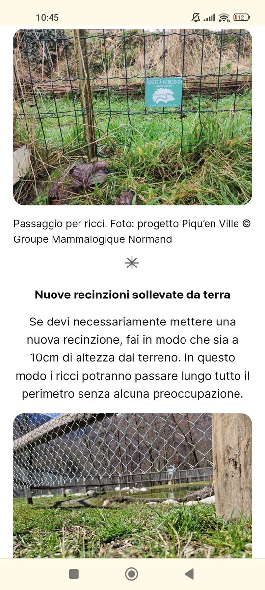 Après la Belgique, la Suisse italienne s'intéresse à son tour au programme régional du #GroupeMammalogiqueNormand "#PiquenVille", dans le cadre de son projet sur le Hérisson d'Europe : progettoriccio.ch/suggerimenti/