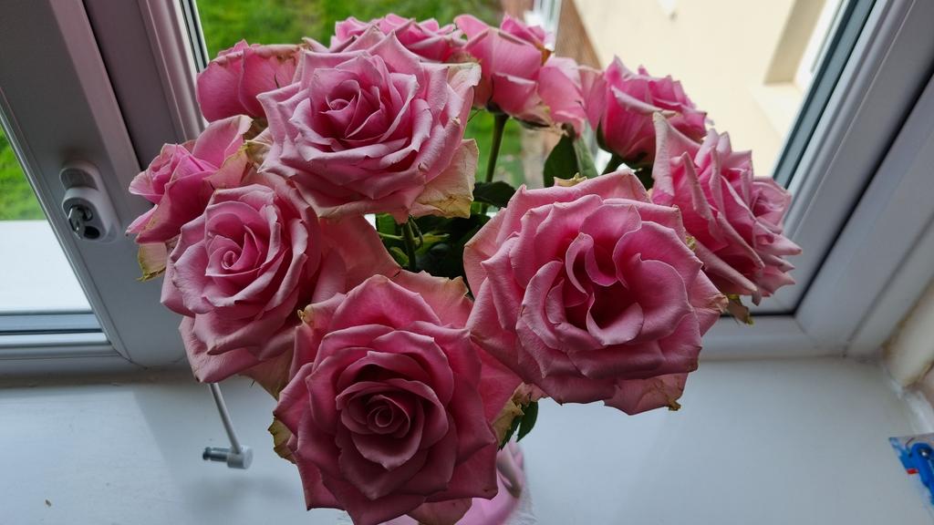 Involved in a show last week wit the lovely <a href="/deadearnest/">Dead Earnest</a> theatre co called 'A Weighty Issue'. One of those times where u realise theatre can REALLY make a difference, stop people in their tracks &amp; make them THINK. Recieved some of the most beautiful flowers wanted to share em!