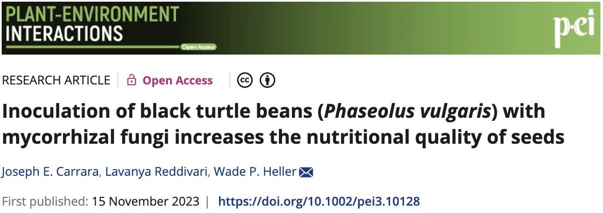 Carrara, Reddivari, and Heller, 'Inoculation of black turtle beans (Phaseolus vulgaris) with mycorrhizal fungi increases the nutritional quality of seeds' Plant-Environment Interactions (2023) doi.org/10.1002/pei3.1… @WileyGlobal @wileyplantsci @wileyinresearch #scopus #plantsci