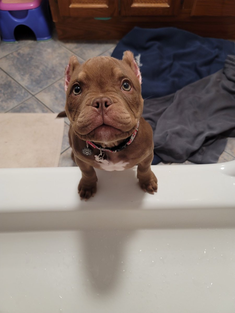 Are you done your shower 🚿

Then...Grab your ☕ and say those #GM GM's to all your #Web3 Fam ❤️ 

S/O to some people im proud of and privaledged to know and #Network with : 
<a href="/DPS_Club54/">💀ÐÈÄÐ þÖKÈR §ÖÇÌÈ†¥💀</a> 
<a href="/battlebunniesTM/">The Battle Bunnies</a>
<a href="/martechnetworks/">MarTech Networks</a>
<a href="/HarrietPJones/">🜲 Harriet</a>
<a href="/Art_PHeston/">Atlaz (Peter Heston)</a> 
@corvusbrewco 

🙏🙏🙏🙏🙏🙏