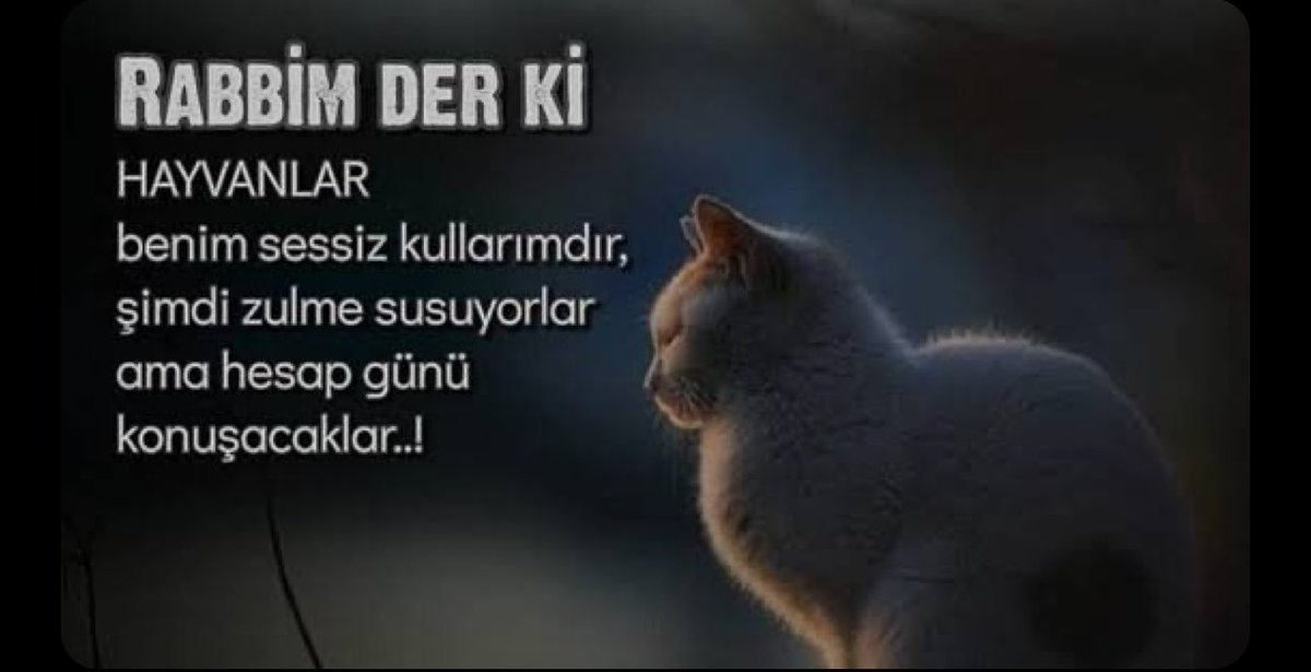 Gonca_janset's tweet photo. Bu mübarek günde yürekten diliyorum.. bugüne dek canına kastettiğiniz ya da ölümüne sebep olduğunuz tüm canların ahı üzerinizde olsun…!!  #erosiçinadalet #ibrahimkeloğlan #ibrahimkeloglanTUTUKLANSIN https://t.co/5q5ZHxlE63