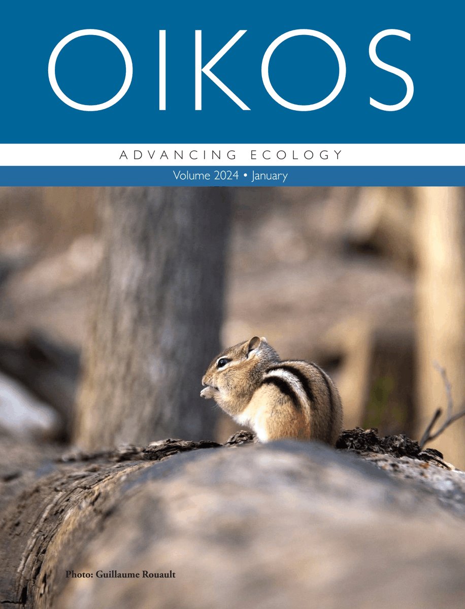 HEY #NordicOikos2024 DON'T MISS THIS!!! 4pm! Our journal @Oikos_Journal is hosting a discussion on advancements in ecology and what the future may look like🔮🧩 Ask our editors their thoughts - @BonteDries @com_ecology @icbarrio!