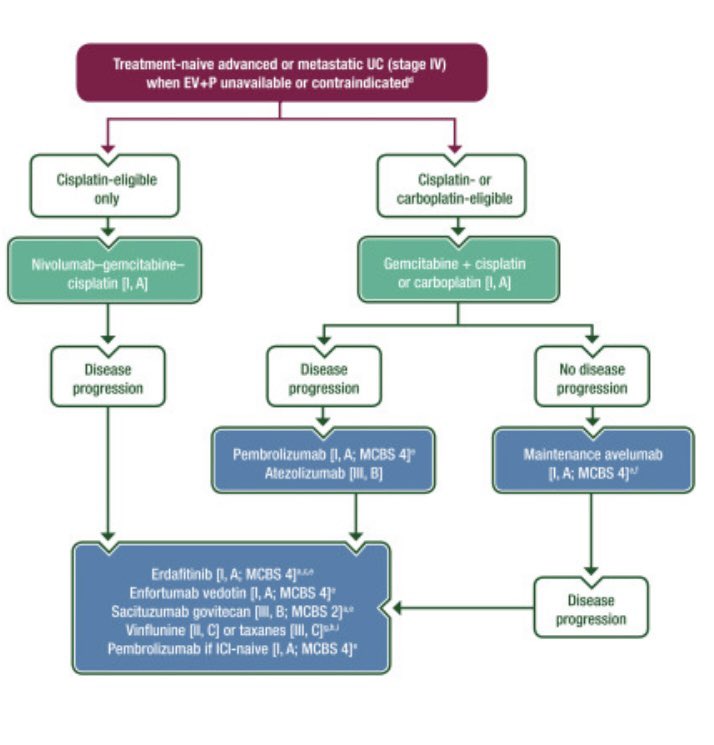 New @myESMO guidlines for advanced bladder cancer @Annals_Oncology. Enforumab Vedotin & pembro is the new standard of care. Platinum therapy is now 2nd line and eligibility less relevant. Gem/cis/nivo or maintenance avelumab for pts where EVP not available annalsofoncology.org/article/S0923-…