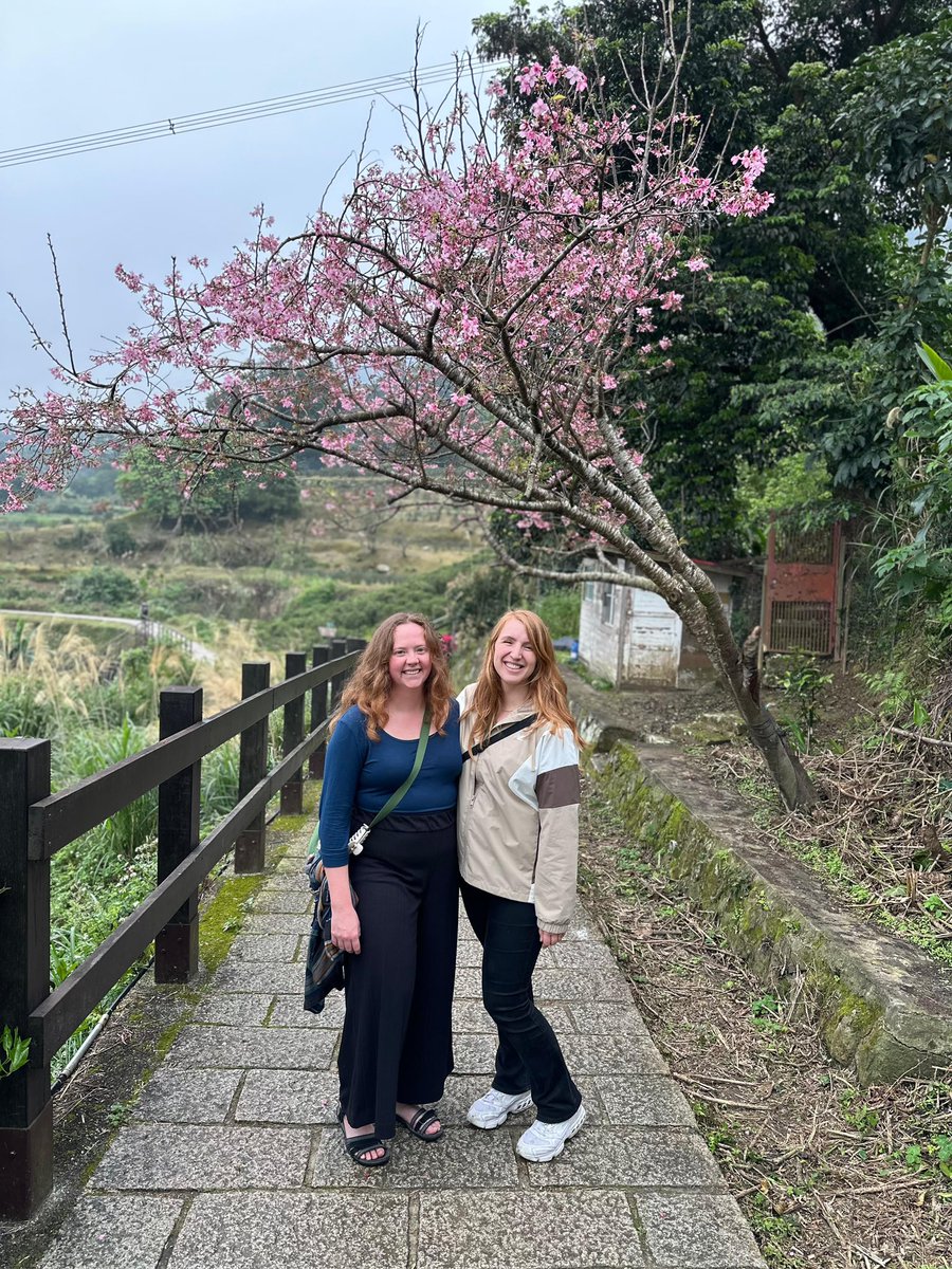 Camille Cunningham tweet media