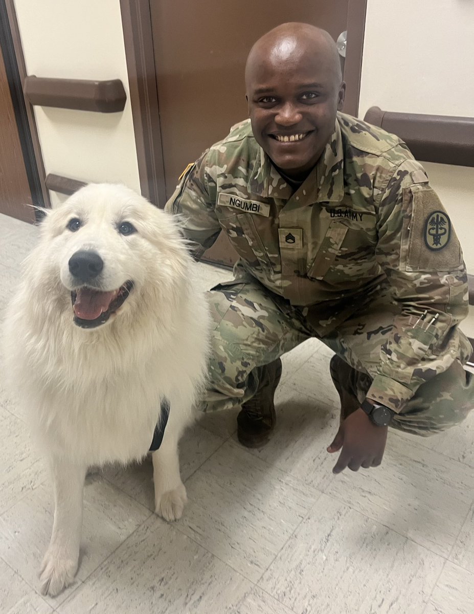 HVPaws4Cause's tweet photo. Summer had a great time visiting Keller Army Community Hospital ๐ซถ๐ผ๐พ #therapydogs #pettherapy #therapysogsofinstagram #KellerArmyCommunityHospital #moralebuilding #redcrossvolunteer #military https://t.co/KeycMr8Fvh