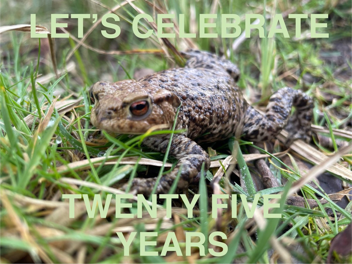 Henley Toad Patrol tweet media