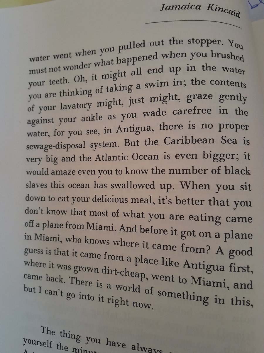 I am enjoying so much Jamaica Kincaid's A Small Place. What a beautiful and powerful text! She summarizes the evilness of imperialim and white supremacy.
#economic #exploitation #violence #neocolonialism