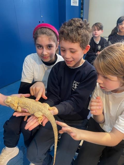 OurLadyMuswell's tweet photo. Year 5 had a great time this morning with @wisciborg, meeting a range of creatures and specifically learning about their different life cycles. Thank you for the visit! https://t.co/XZguwr7whg