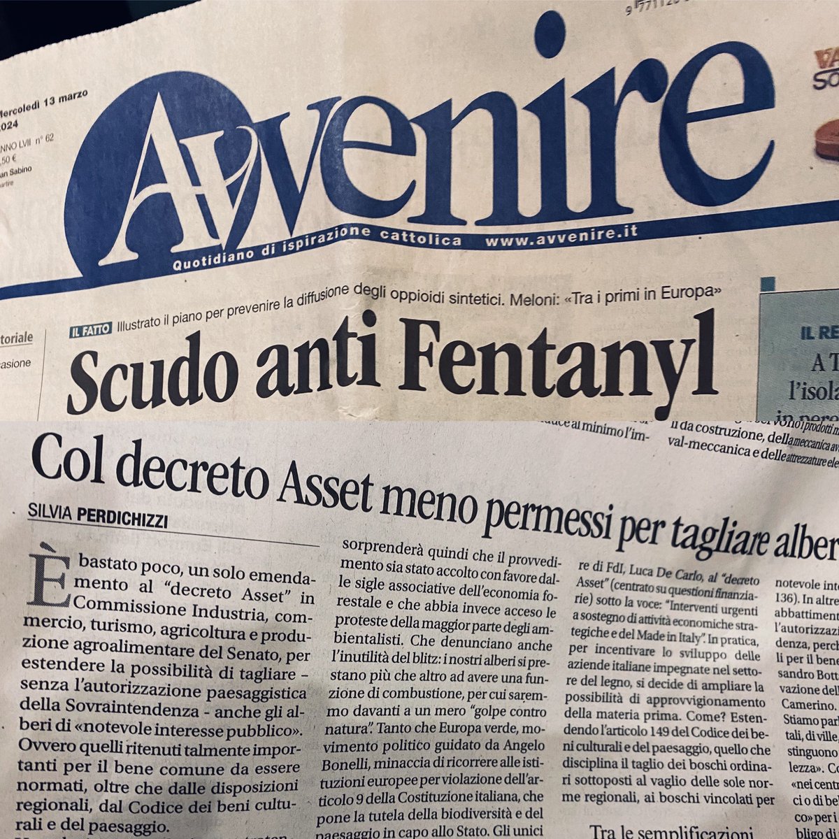 SilPerdichizzi's tweet photo. Con un emendamento al decreto Asset di sono allentate le maglie delle autorizzazioni per il taglio di alberi di interesse “pubblico” come quelli monumentali. Ne parlo su @Avvenire_Nei e al link
https://t.co/Vq3xNlj0v8 https://t.co/Bn08fBIguR
