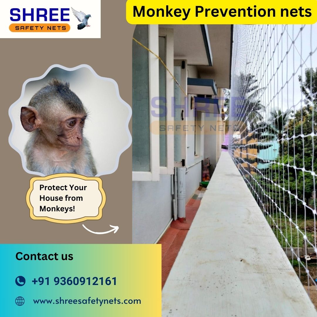 shreesafetynets's tweet image. Keep your premises safe and secure with our durable monkey prevention nets in Mylapore. Say goodbye to monkey troubles today! #MylaporeSafety #NettingSolutions #MonkeyPrevention #monkeypreventionnets
shreesafetynets.com/monkey-safety-…
