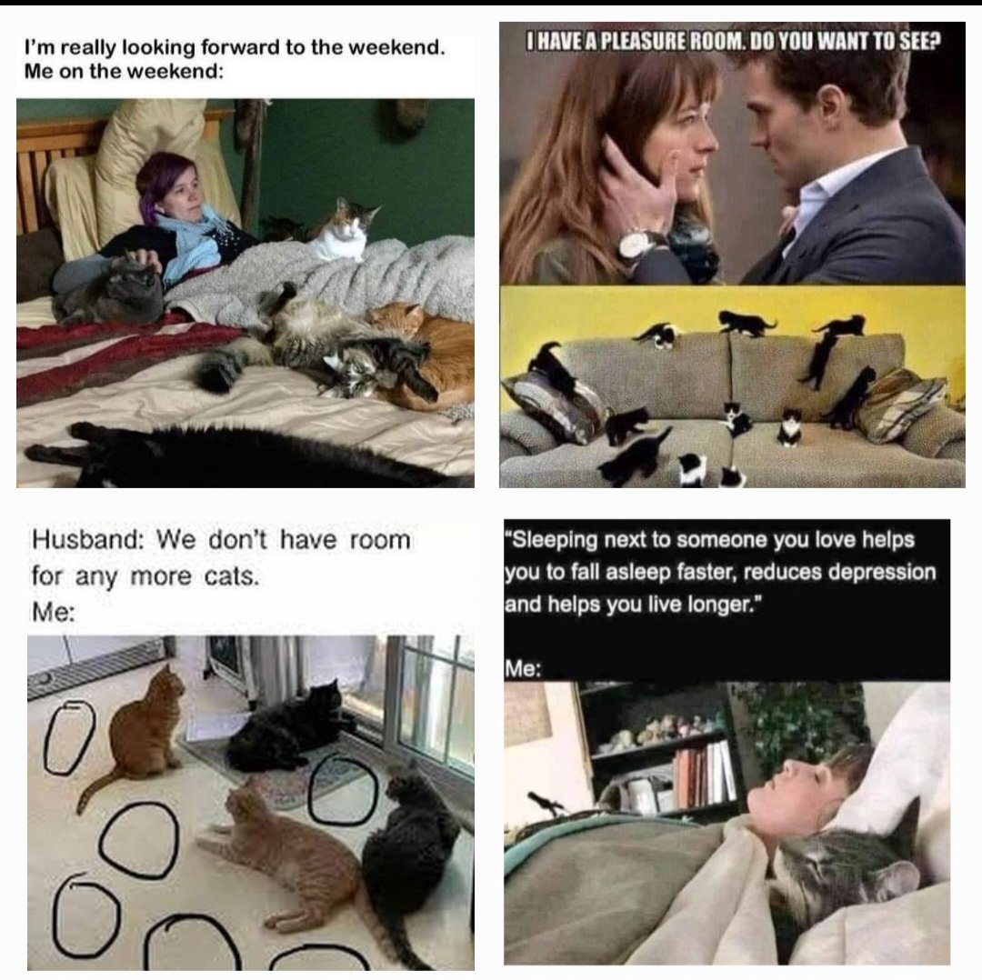 RACHEL ELSE tweet media