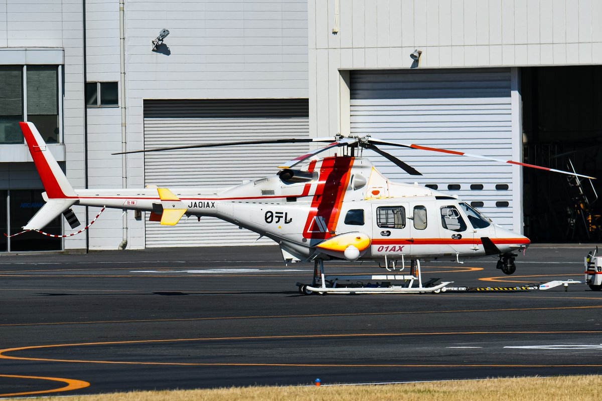SuKuym8XeXh57DO's tweet photo. 2024.3/9 RJTI
朝日航洋•Bell430•JA01AX
はじめましてたった01AX。同じ日テレ報道の00AXと並び。あと06HDも
#東京ヘリポート #RJTI #朝日航洋 #JA01AX #Bell430 https://t.co/UJtXb2QZOO