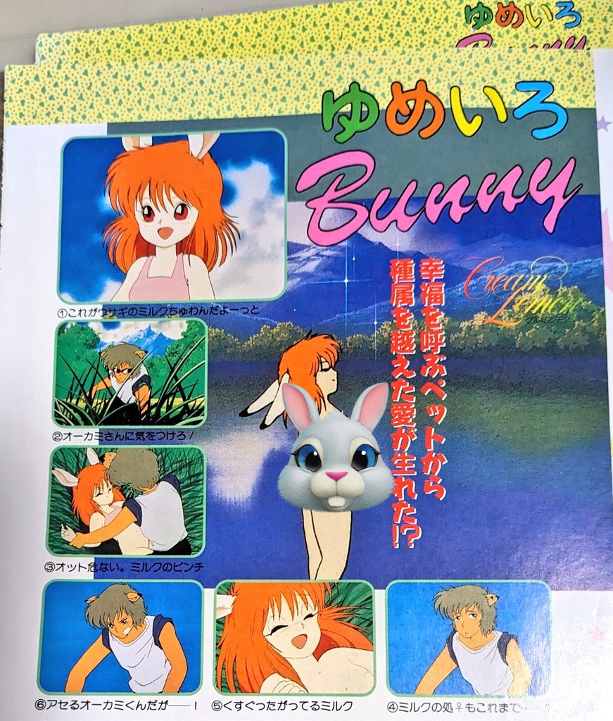 ゆめいろBUNNY