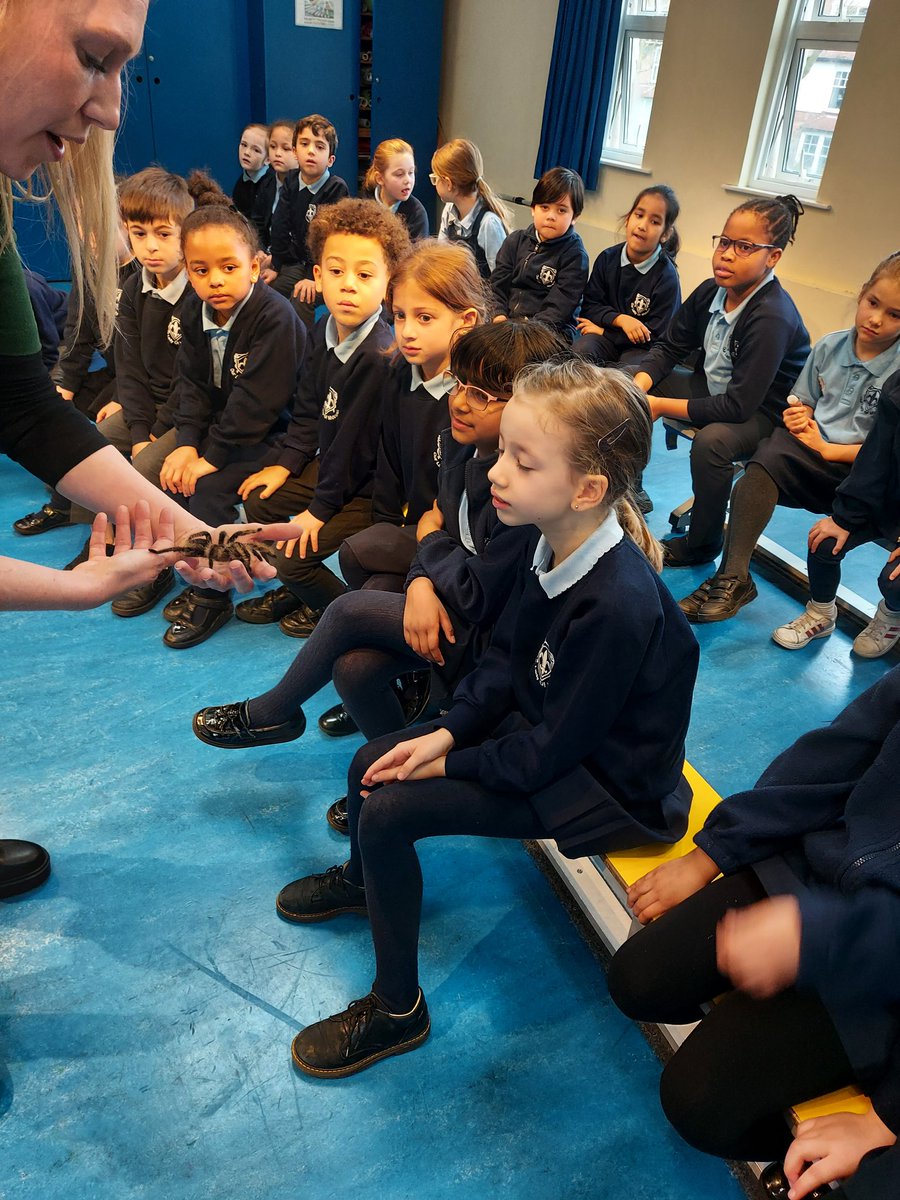 OurLadyMuswell's tweet photo. Year Two had a fantastic time meeting and handling a python, bearded dragon and fancy African rat as part of #BritishScienceWeek The children were very curious and had lots of questions. Thank you @wisciborg https://t.co/Qcf0v3V9tb