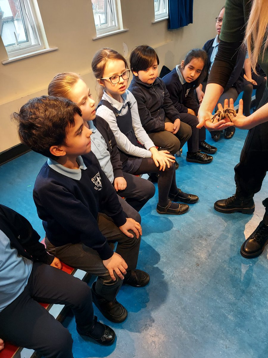 OurLadyMuswell's tweet photo. Year Two had a fantastic time meeting and handling a python, bearded dragon and fancy African rat as part of #BritishScienceWeek The children were very curious and had lots of questions. Thank you @wisciborg https://t.co/Qcf0v3V9tb