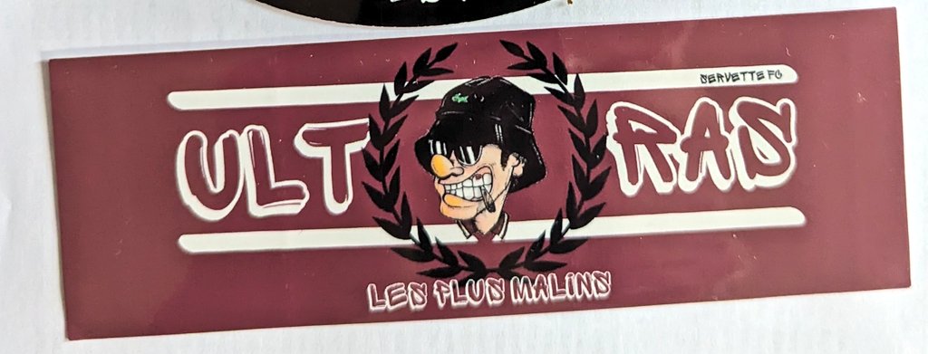 1jour1stick's tweet image. Ya pas que la #SG88 a Genève en groupe ultras, ya aussi les petits jeunes #LesPlusMalins !

Le nom de groupe est marrant, les sticks aussi c'est parti! ⏬⏬⏬