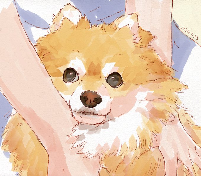 「犬」 illustration images(Latest))