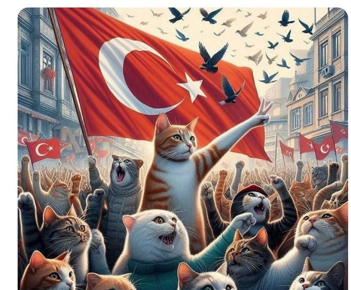 Turgut Uyar'ın dediği gibi
"Keşke bir şiir okumuş, bir kedi sevmiş olsaydınız belki bu kadar kirletmezdiniz 
dünya yı. #erosicinadalet