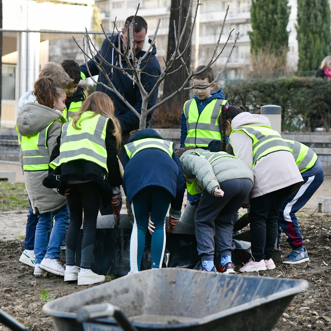 🍒🍏 En hiver, on plante de tout, même des vergers ! Et on le fait avec des écoliers. Comme à La Duchère dans le parc du Vallon (9e) avec des CM1-CM2 de l'école Les Dahlias, ou place de l'Europe (6e) avec des CE2 et CM1 de l'école Jean-Jaurès. 📷 Muriel Chaulet