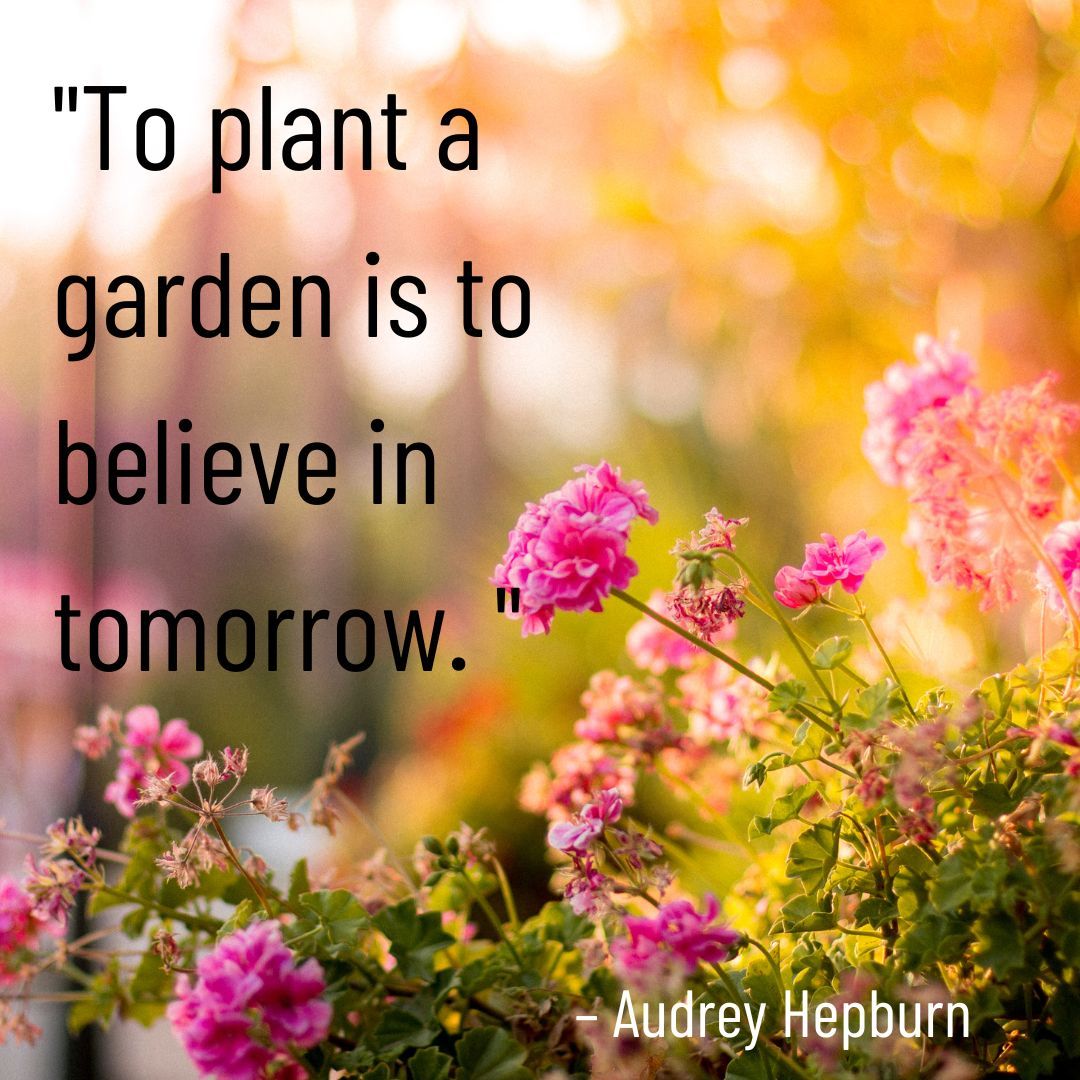 We can help you plant those seeds of tomorrow. Learn more about how SML can support your business: buff.ly/42PVete!

#strategicmanagementlogistics #sml #virtualassistance #supportservices #virtualassistant #springtime #springquotes #success