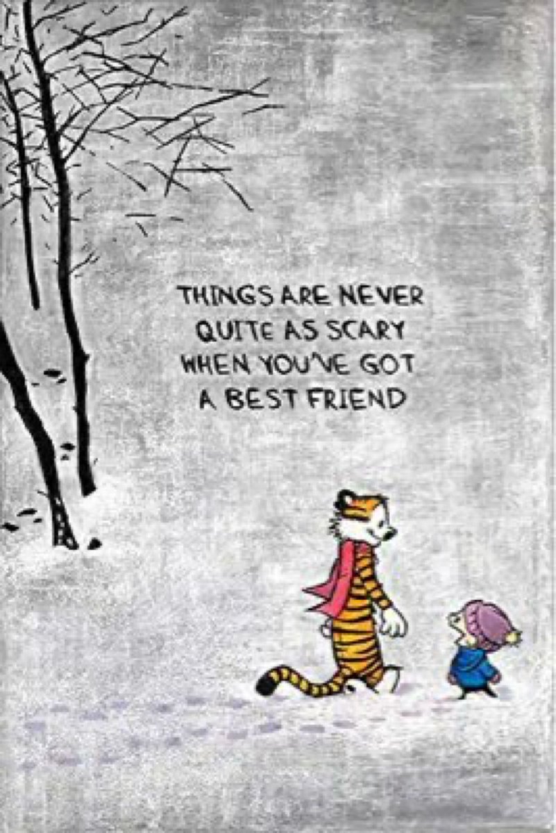 Tag your BFF(S) ☺️ #CalvinandHobbes