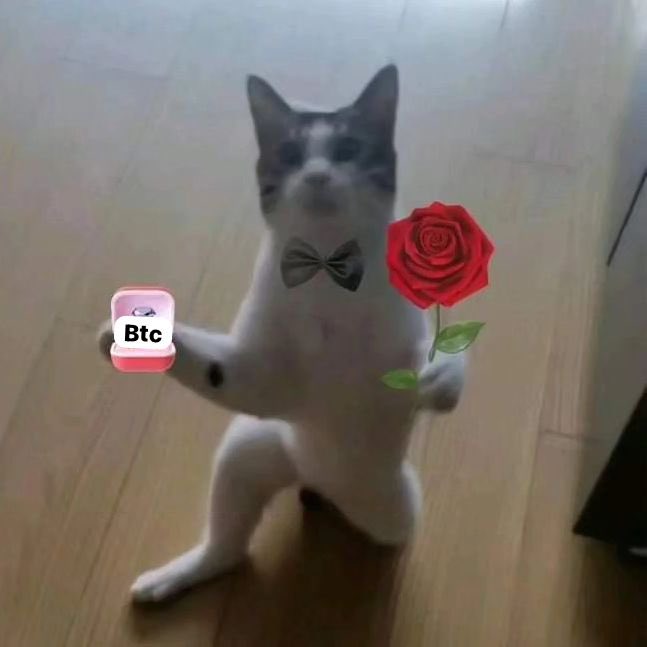 Super crypto tweet media