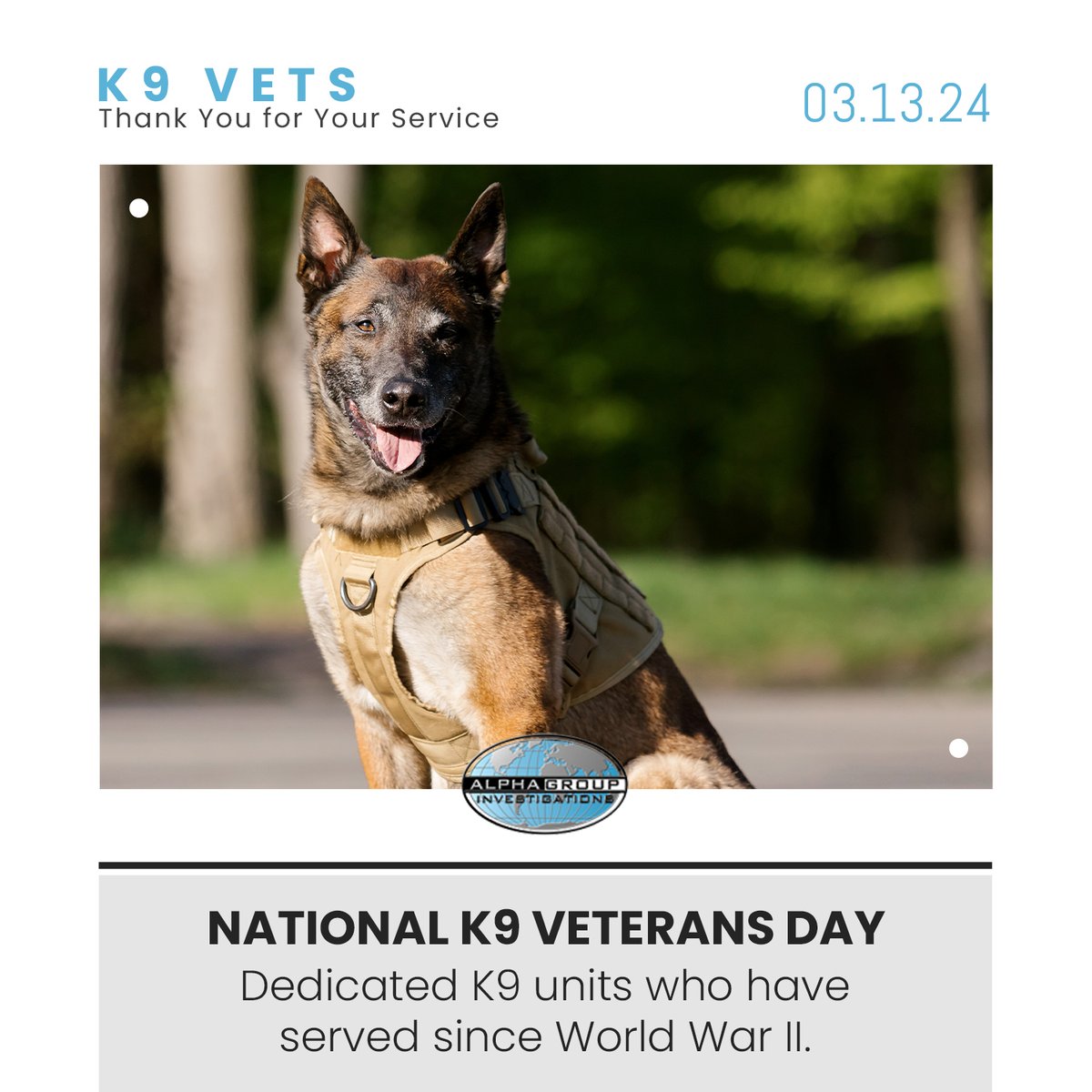 Please join Alpha Group as we honor our four-legged heroes today; National #K9Veterans Day and remember all of the K9 units who've served since World War II. Thank you for your loyalty, bravery and service! #K9Heroes #MilitaryDogs #ServiceDogs