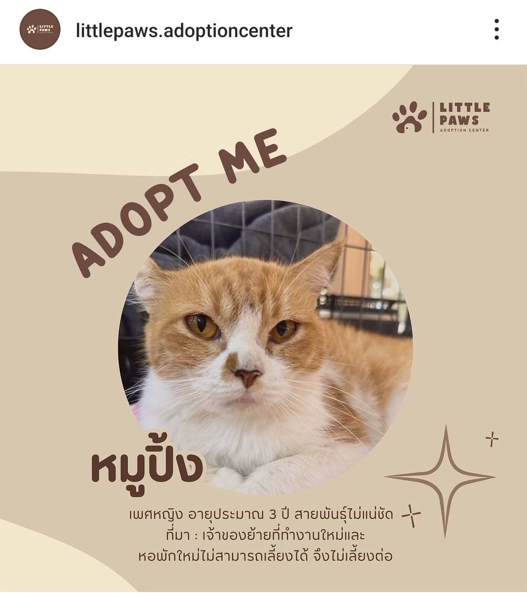LiliesHome_'s tweet photo. 📢 #LISA’S BIRTHDAY PROJECT 2024  SEASON4 BY #LILIESHOME

Support Little Paws adoption center so that dogs/cats can find forever home

PAYPAL/WISE: LILIESHOMEOFFICIAL@GMAIL.COM

โครงการวันเกิดเพื่อสนับสนุนศูนย์อุปการะหมาแมวไร้ที่พึ่ง Little Paws เพื่อให้น้องหมาน้องแมวได้เจอบ้านที่อบอุ่นนะคะ

ชื่อบัญชี : วรัษฎาพร วงษ์เป็ง  waratsadaporn wongpeng  เลขที่บัญชี : กสิกร 097-1-25757-1

#LILIESLOVELISA_S4