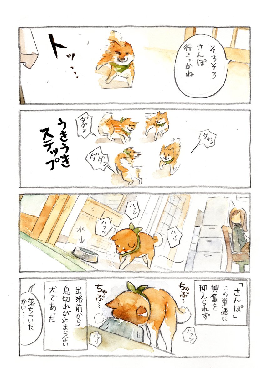 面構えが変わる時間

#柴犬　＃水彩