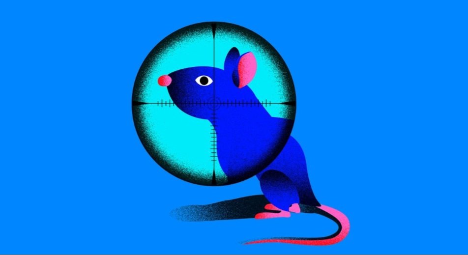 Deep Science Staffel 3 "Wer rettet die Erde?" Folge 4/5: Invasive Arten bekämpfen? -- mit <a href="/fuenfsigma/">Sophie Stigler</a> und <a href="/LennartPyritz/">Lennart Pyritz</a> deutschlandfunk.de/wer-rettet-die…