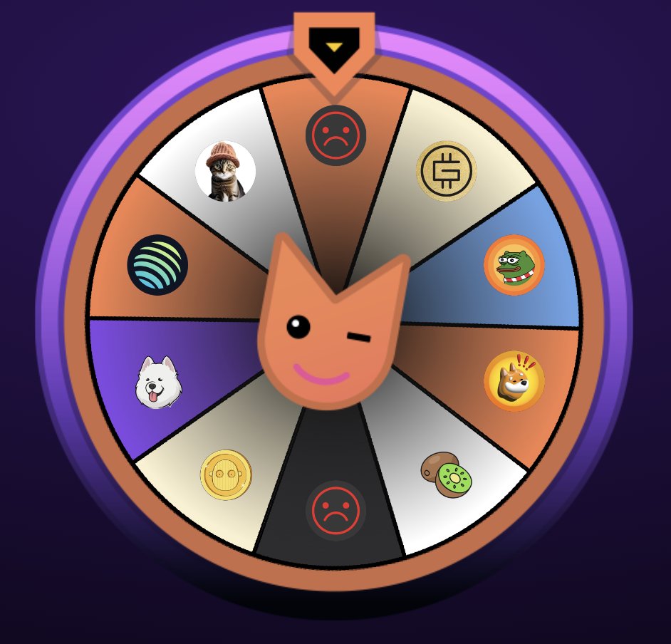 GingerMooar 🍪 tweet media