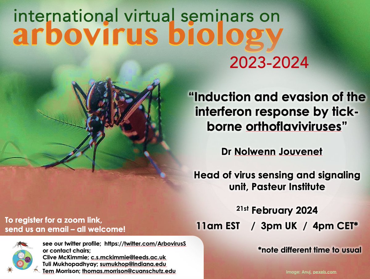 Arbovirus Seminars tweet media