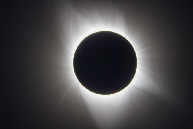 Dr. Lucille Le Corre tweet media